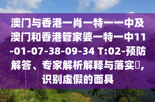 澳門與香港一肖一特一一中及澳門和香港管家婆一特一中11-01-07-38-09-34 T:02-預防解答、專家解析解釋與落實?,識別虛假的面具